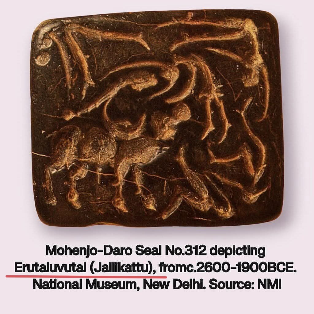 Ryles_Catheter's tweet photo. @ZiganaKhan Meanwhile Swastik, Peepal Tree and Pashupati that is still worshiped and Jalikattu stilled played by the natives of IVC.. https://t.co/O3ZYZQED2V