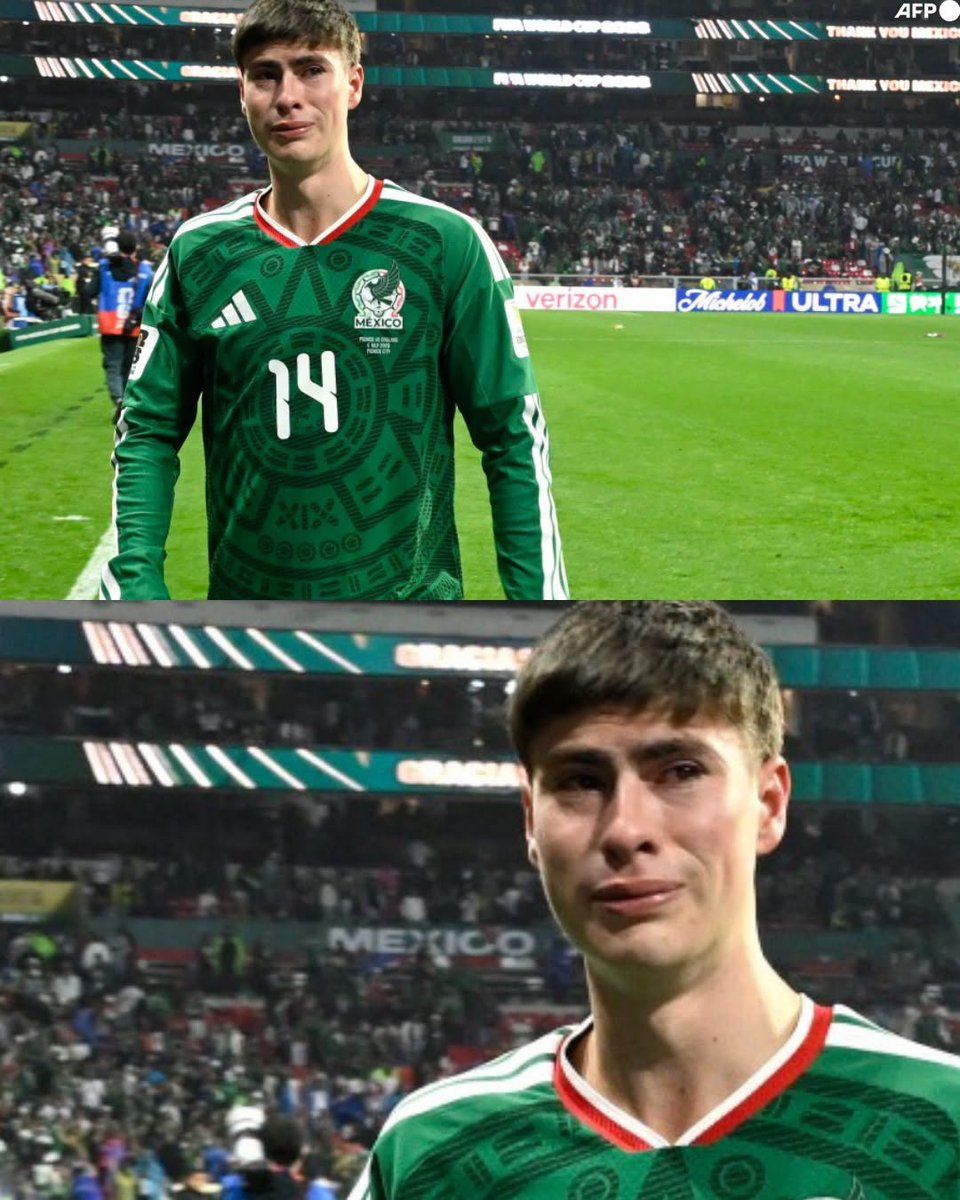 InvictosSomos's tweet photo. No llores, Hormiga. En esta Copa del Mundo no tuviste protagonismo, pero llegará tu momento. Que lo de hoy sirva como combustible para la siguiente justa mundialista. Jóvenes como Mora y tú son el futuro de nuestra selección y estamos convencidos que, con ustedes como referentes, lograremos dar el paso que tanto merecemos. Te queremos mucho, Armando. Eres un ejemplo para la nueva generación mexicana. Esto apenas el inicio de la brillante carrera que te espera. TENDRÁS REVANCHA, HORMIGA.