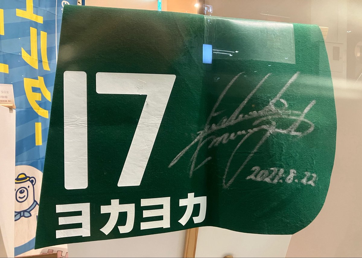 norauma5's tweet photo. ヨカヨカの思い出を綴りました。
週末はたまたま熊本に訪れましたが、街の活気に驚くばかり。その中にあるVIESTA熊本にはヨカヨカのゼッケンが展示されてました。
九州の力を感じる馬。この地からまたすごい馬が出てきてほしいな、そんな思いに満たされた週末でした。ご一読頂けると幸いです。 https://t.co/hF7zqjkbvq