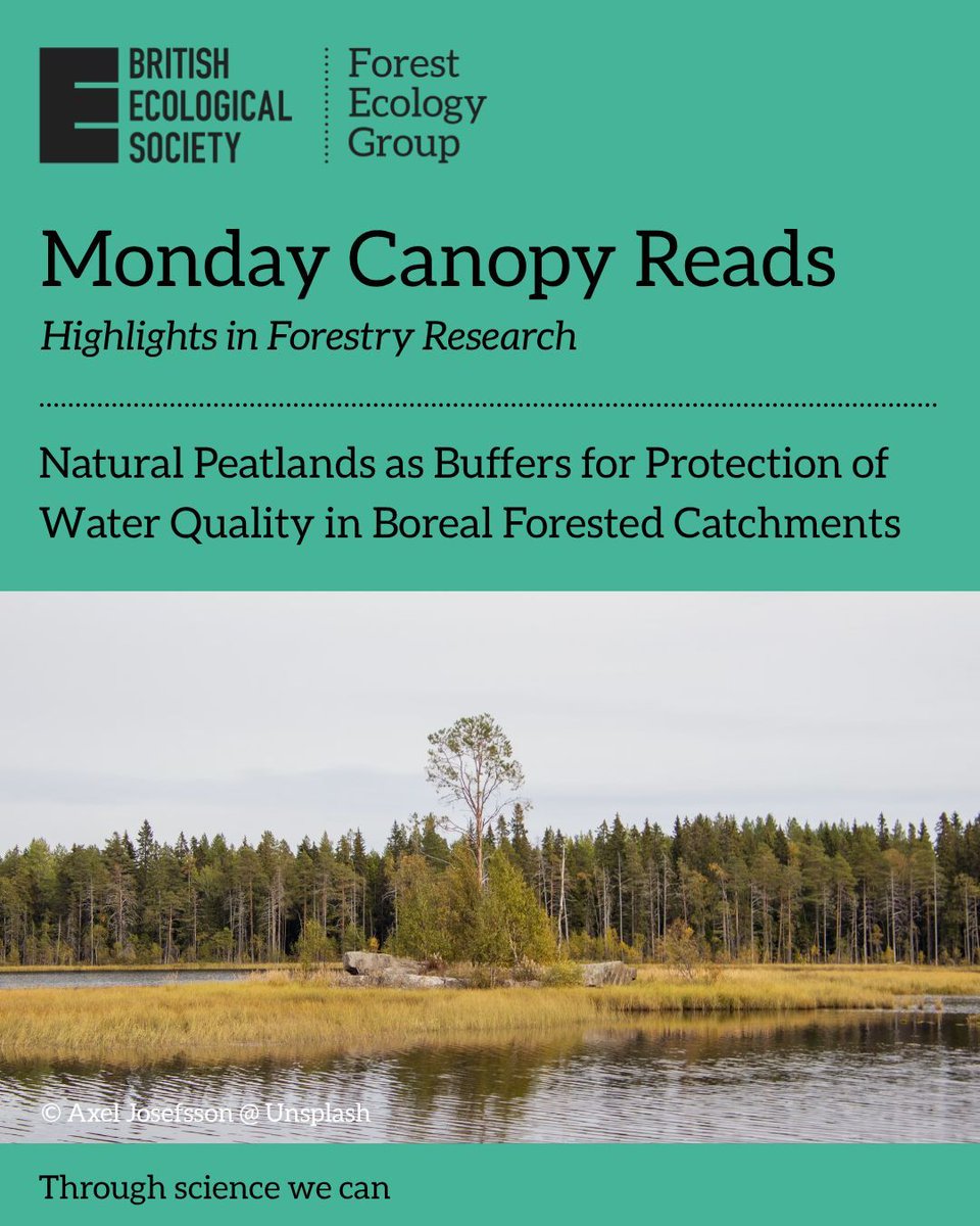 BESForests's tweet photo. "#MondayCanopyReads 🌲💧
Natural peatlands as buffers for protection of water quality in boreal forested catchments
Nieminen et al., 2026 | Forest Ecology and Management
Peatlands do more than store carbon and they help filter runoff.
Read: https://t.co/aEI9yonpnJ"
#BES #Forests https://t.co/4WEBoP2VvJ