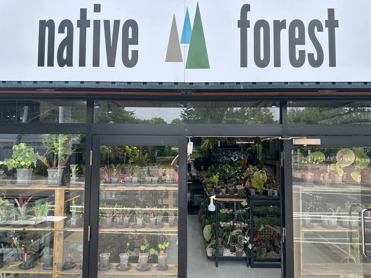 nativeforest1 tweet picture