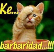 boo_limic's tweet photo. "Mmm voy a ver cómo le fue a lo que posteé anoche estando aburrido" 33 mil visualizaciones???!!!! Tanta gente no puede cagar? https://t.co/pkinHZidLl