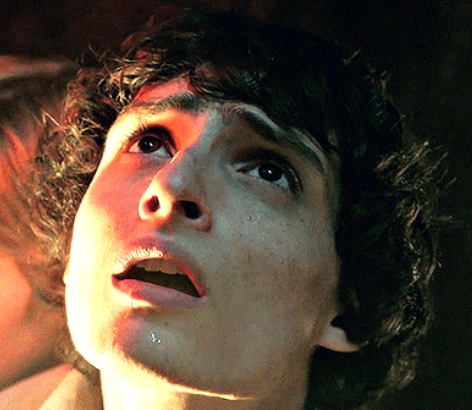 finn wolfhard eyebrows tweet media
