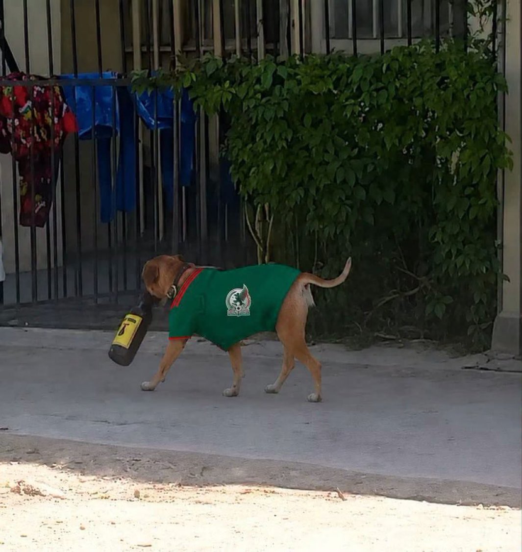 DiloConPerritos's tweet photo. Vámonos alv ❤️‍🩹 https://t.co/vxAZ77XxaQ