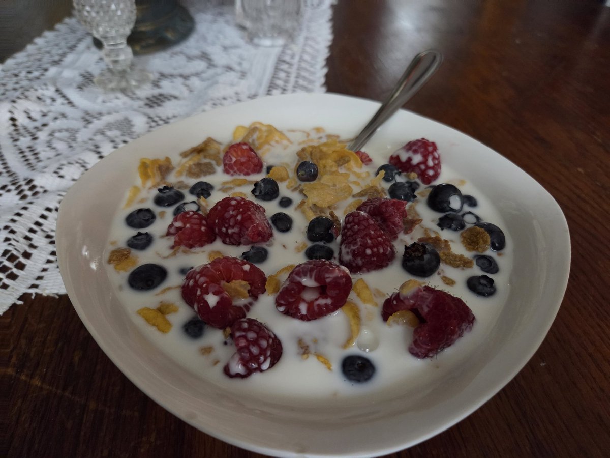 Jackal1353's tweet photo. Finally home 🏡 

It was a Lil warm, and those UV rays kicked my butt ☀️🥵

Cereal Time 🥣🫐🍓
#Cornflakes #BranFlakes #FiberOne #Raspberries #BlueBerries https://t.co/xKwuOxvmkF