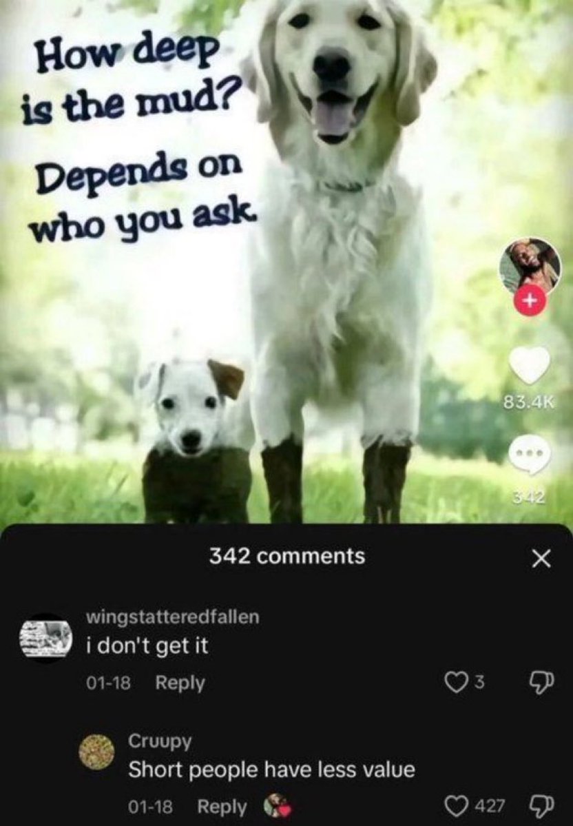 MemesUpMyAss's tweet photo. https://t.co/MuMIVulE4r