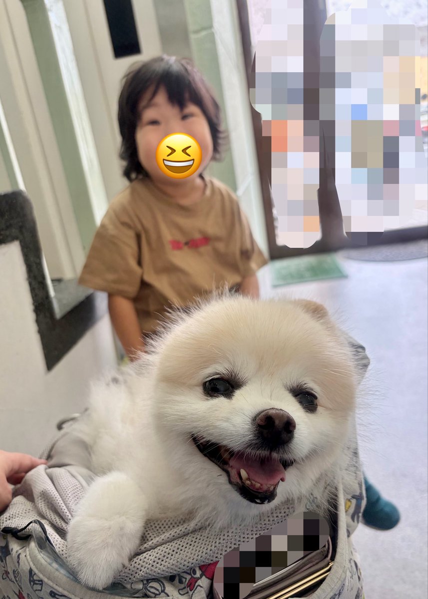 usabarawabi's tweet photo. 病院DAY
コレステロール値が高いやら、胆嚢にポリープがあるやら、心臓の弁が壊れてるやら、膝のお皿がハマらないやら、不具合多めポメおじさんです🥲 https://t.co/W1hEZ1zXyu