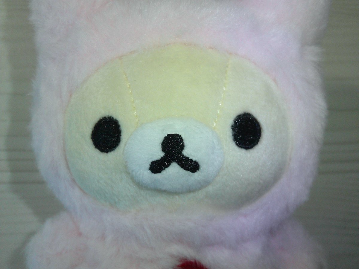 eowqud's tweet photo. 이뽀니 왓어요 https://t.co/GkLwUuPA3G