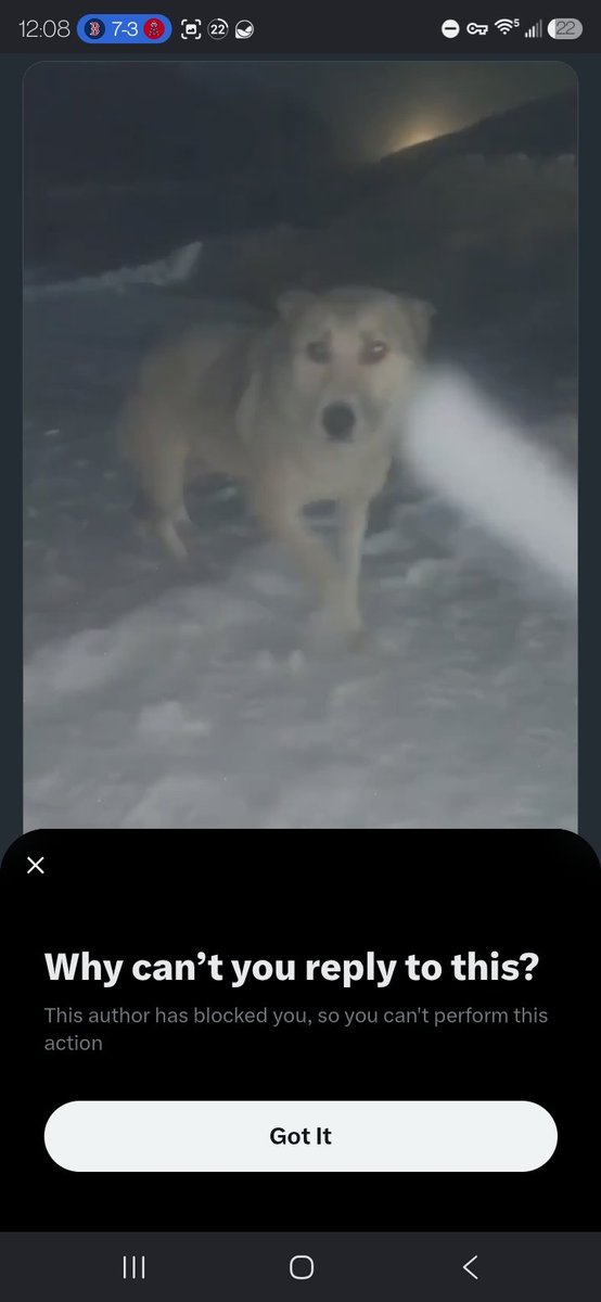 Tonymaxaroni's tweet photo. @Rainmaker1973 This stupid fucking piece of shit and this account need to get banned for posting animal cruelty 

This video is staged. The dogs were purposely put outside in the cold/snow so they could film themselves pretending to save them

I pointed this out on another account &amp; got blocked https://t.co/SCCk6ScVle