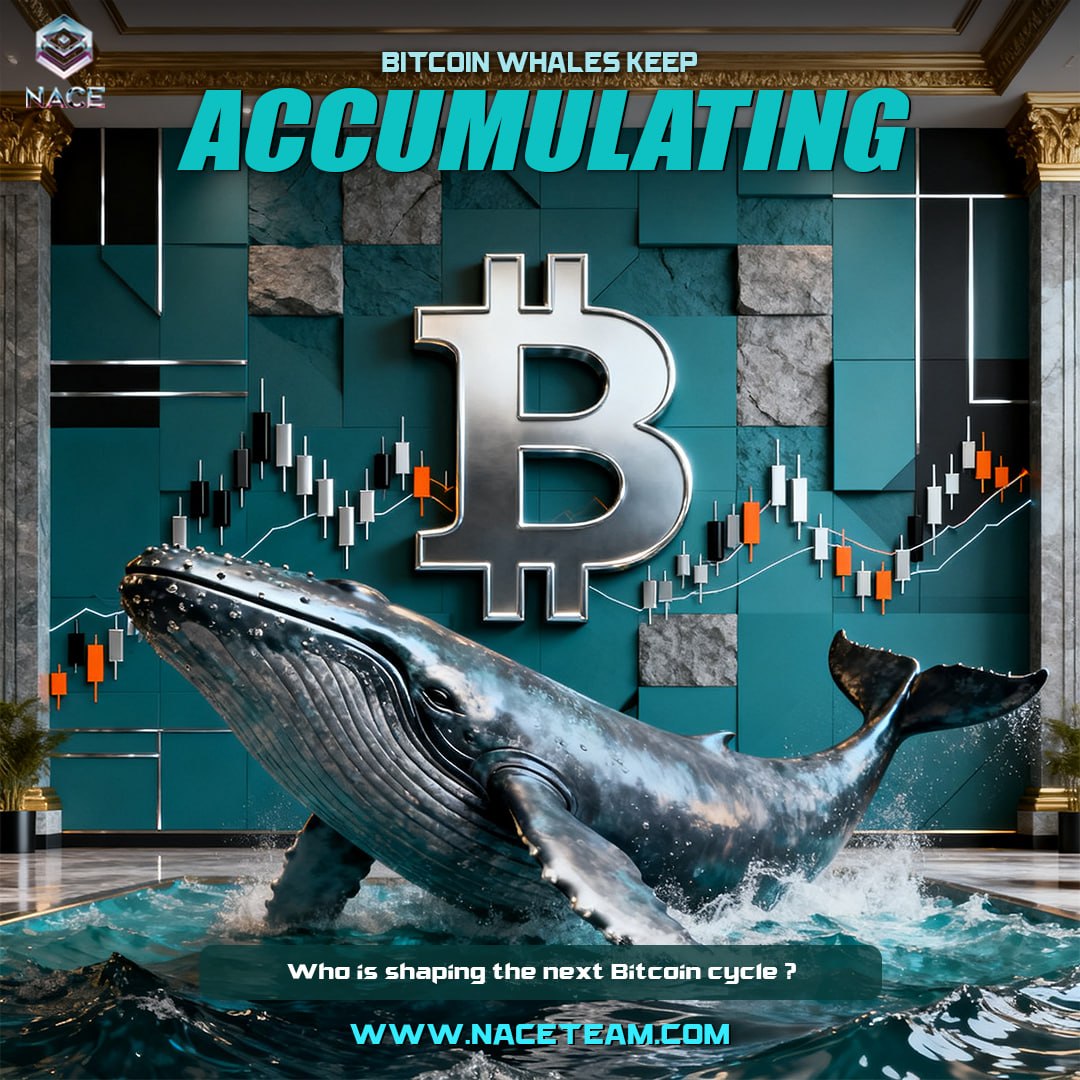 NebulaAI_Ex's tweet photo. Bitcoin Whales Keep Accumulating
Large investors continue to show long-term conviction.
NACE follows capital flow and innovation.
👉 https://t.co/9qvhywPr2I
#NACE #NACEExchange #NebulaAI #NebulaAIExchange #SP #SPInvestmentGroup #Bitcoin #CapitalFlow #MarketStructure https://t.co/pMZbwz7gzL