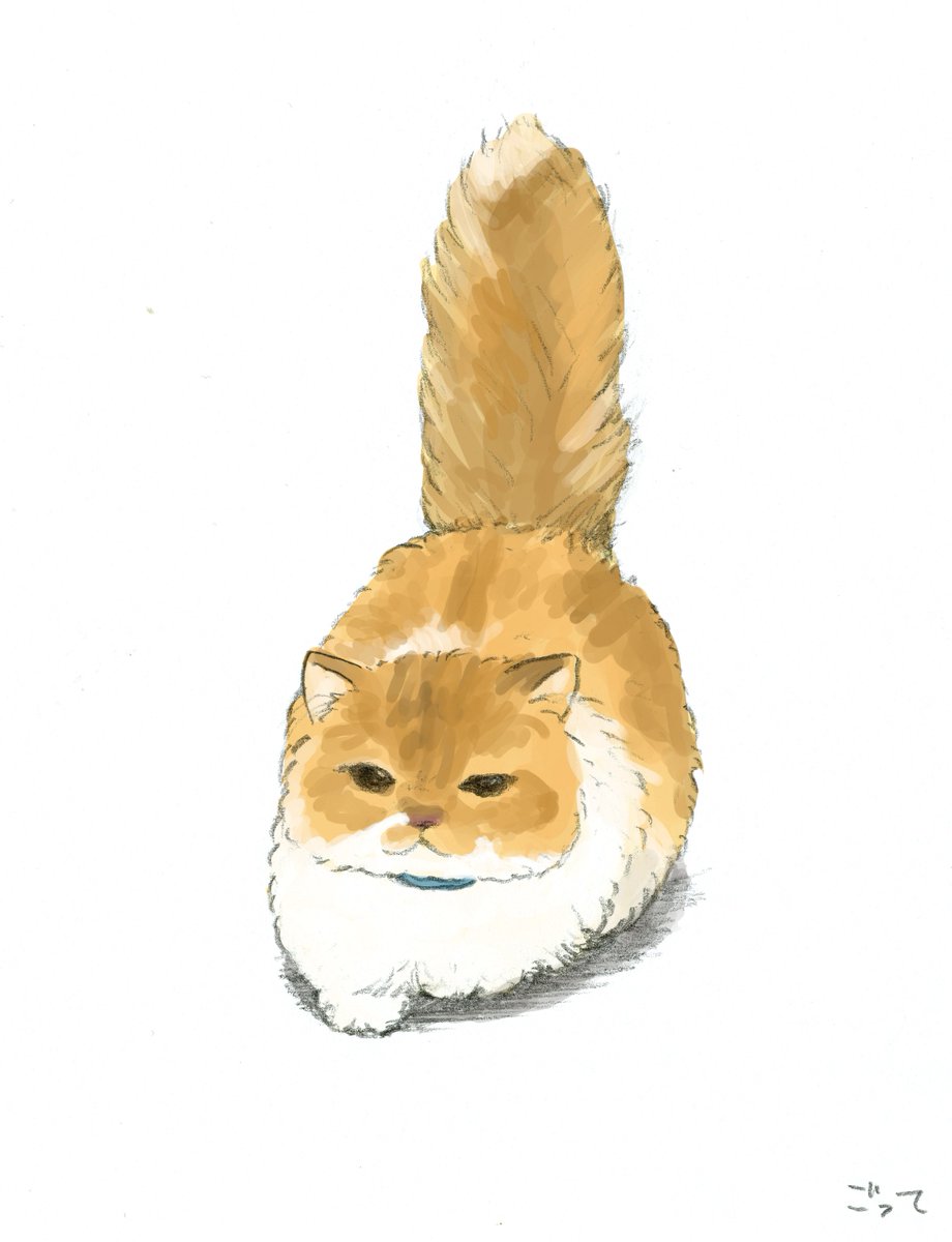 ap_hamham's tweet photo. 猫 https://t.co/qMEvCIOYFK