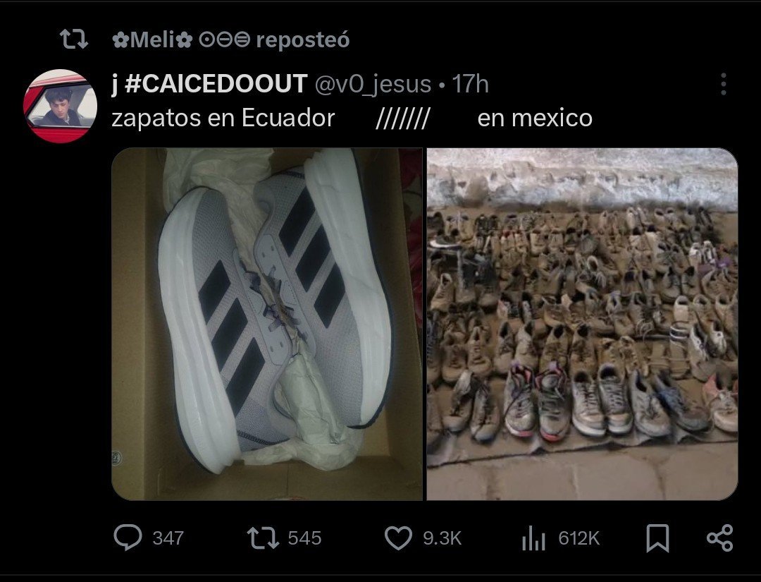 elepepcum98's tweet photo. @janethinostroza Me tienen las putas bolas llenas. No son victimas, son unos perros cobardes que vendieron el cuento de victimas y al parecer todos los sin neuronas les creyeron. ¿Que esperaba que pasara si se la pasaron insultando todo este maldito tiempo? NO SON VICTIMAS, SON IDIOTAS. https://t.co/aDmERbGNd1
