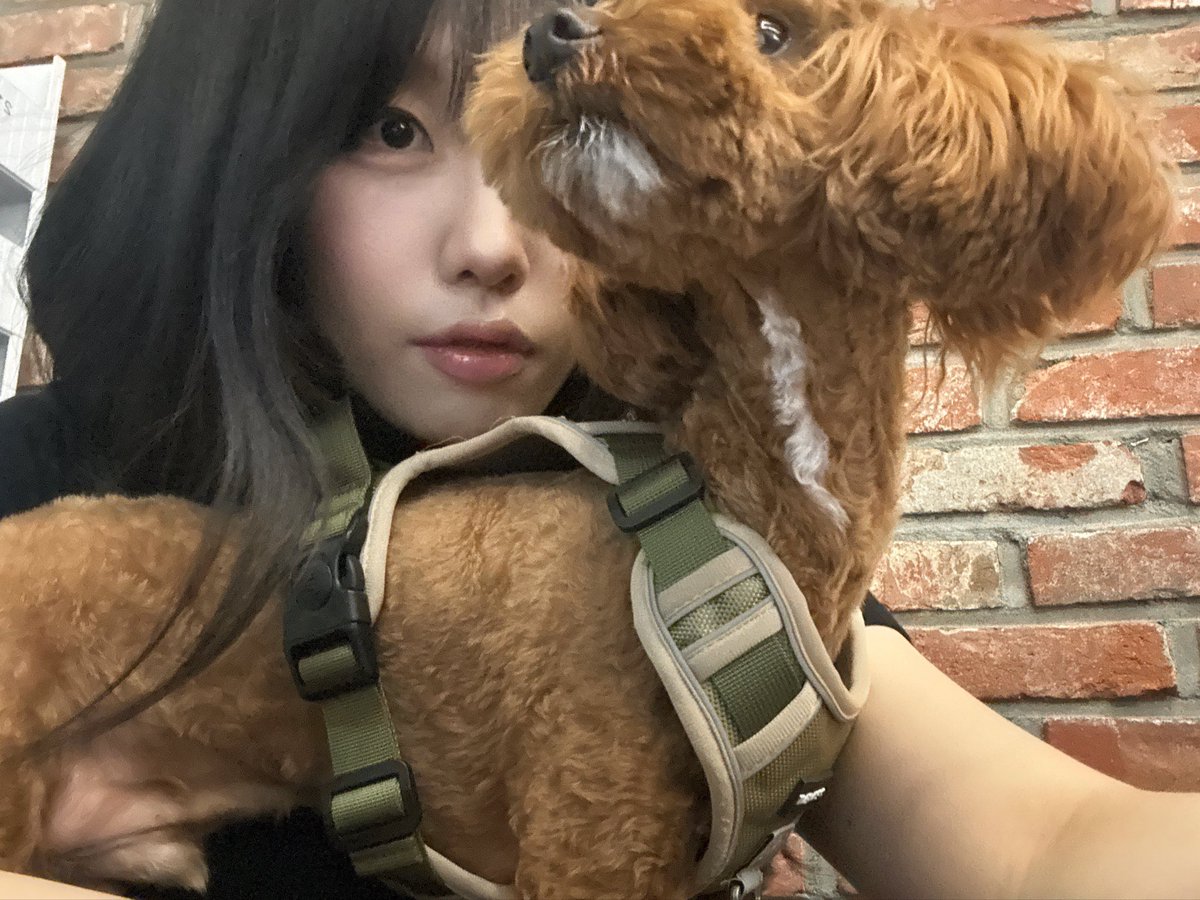 lebiomok's tweet photo. 일하는 곳에 강아디 친구 옴 ~~~~ https://t.co/TEwPEOFZrq