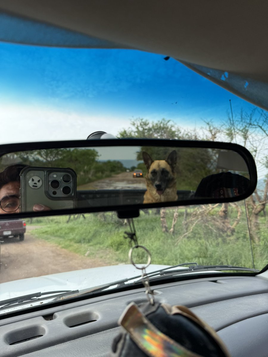 AlanRamirezSan8's tweet photo. Estar solo, hacer cosas solo siempre me ha gustado.
Hoy fui de ruta, solo. Con mi perra.
Acabando, me fui a comer a un lugar de Calvillo que le tengo cariño y buenos recuerdos.
Resignifico los lugares, aunque cuesta.
Regresamos y dormí. Soñé, y luego desperté. https://t.co/hOKM0l51Ij