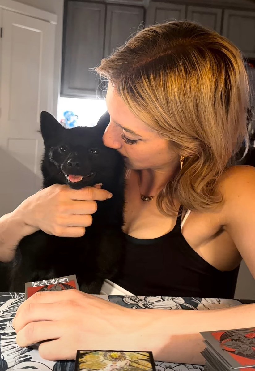 thonterthomas's tweet photo. nobody's looking at that damn cat https://t.co/yABgn15grM