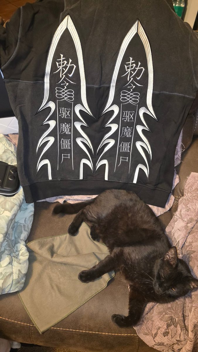 onioftheash7's tweet photo. Also the hoodie from @iiiiclothing !
(I am 1000% not cool enough to wear this hoodie) https://t.co/LQqMxcNfAh
