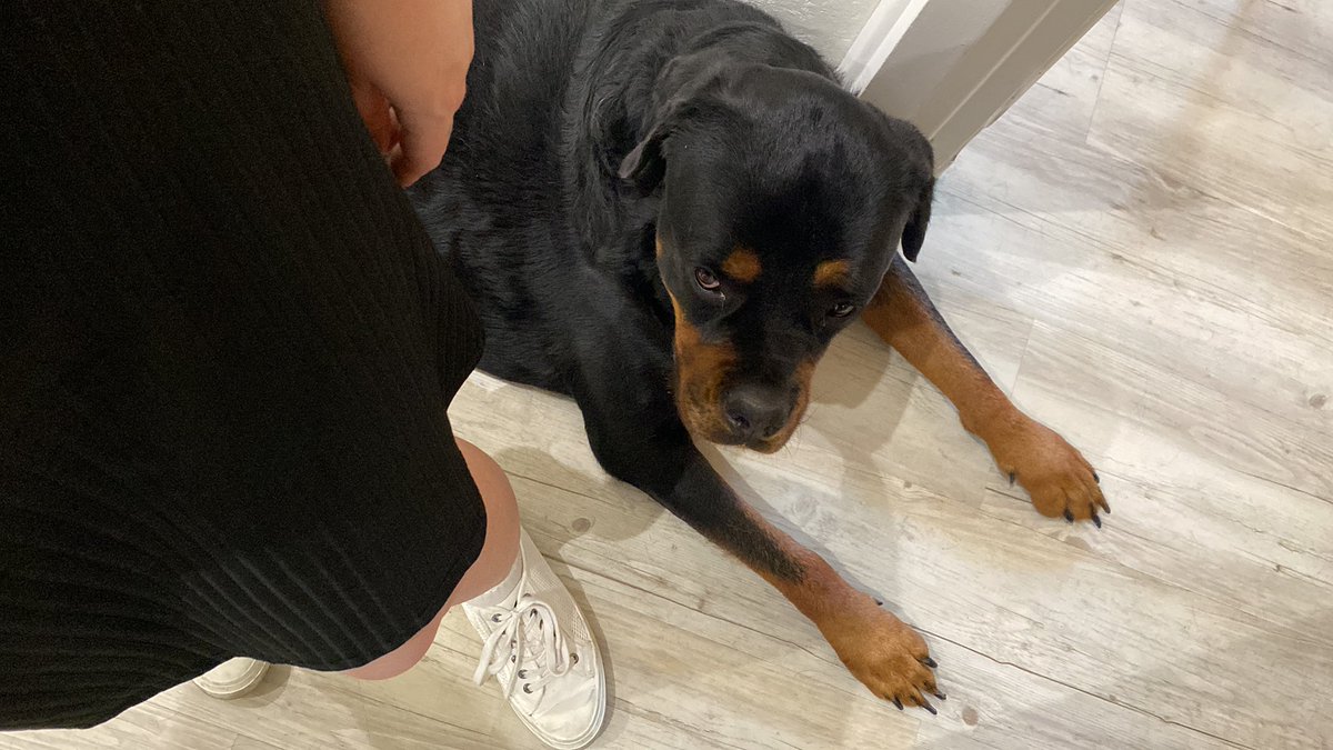 emayouknow's tweet photo. J’ai la carpet à mes pieds, je peux même pas me préparer tranquille https://t.co/8s45B8Azd4