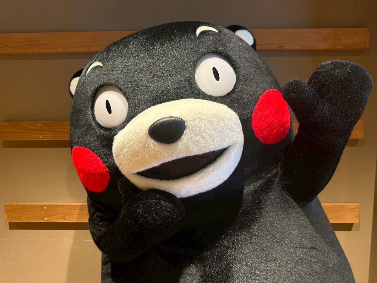 55_kumamon's tweet photo. よか明日になりますように、おやくま〜☆ https://t.co/6P9rp06WV1