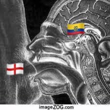 snchez_bryan's tweet photo. @chipilaso93 https://t.co/a1PeGzUUNH