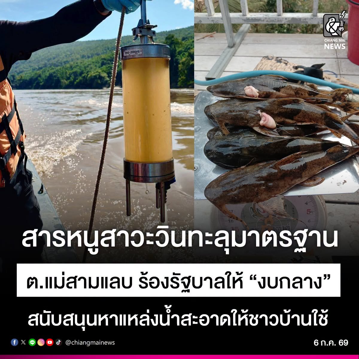 Chiang Mai News tweet media
