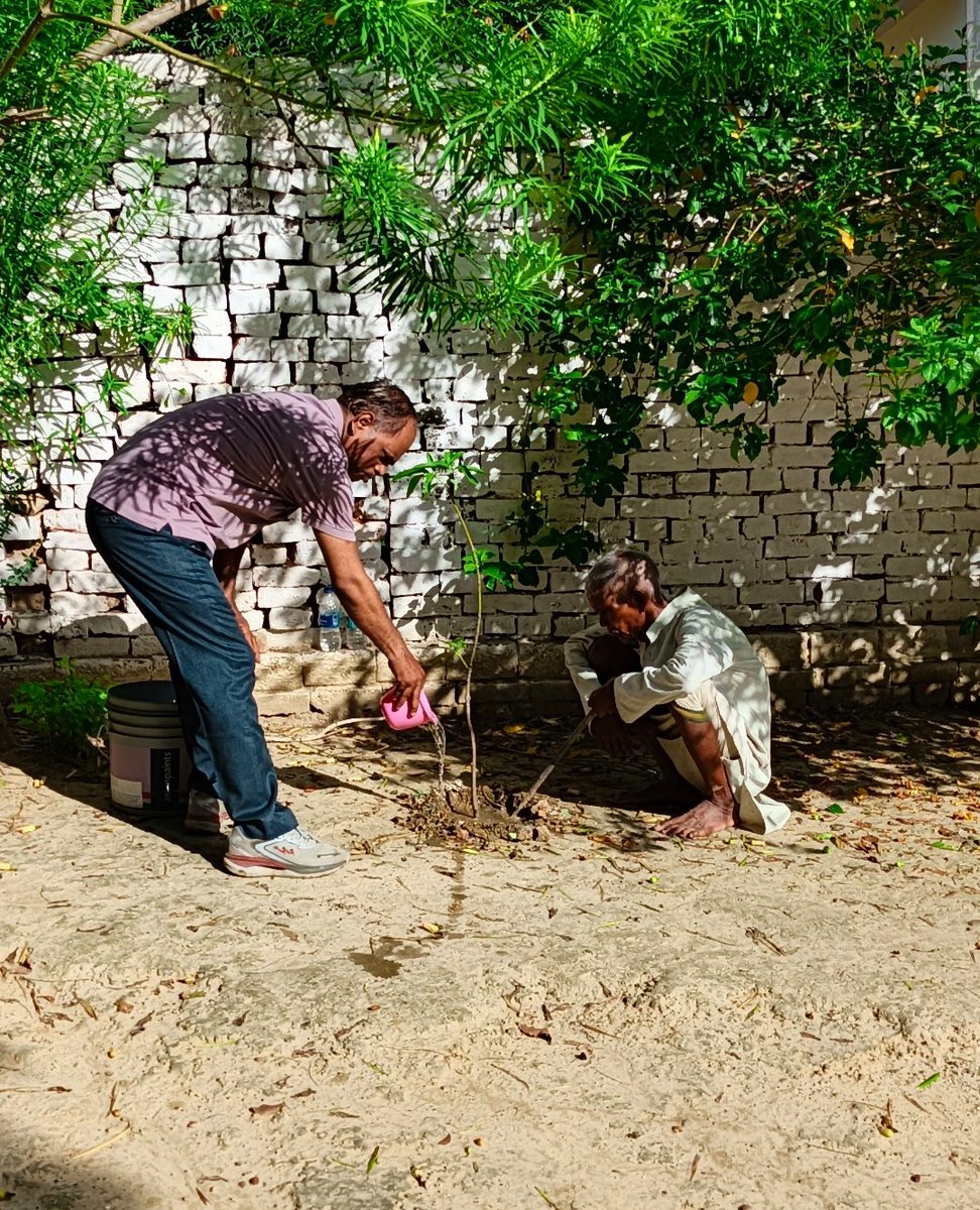 SaharaJeevan's tweet photo. अमेठी में 'एक पेड़ माँ के नाम' अभियान: हरियाली बढ़ाने और पर्यावरण संरक्षण की अपील @myogioffice @DmAmethi @cdoamethi @FGRFC_Official https://t.co/hwuJtSEFhT