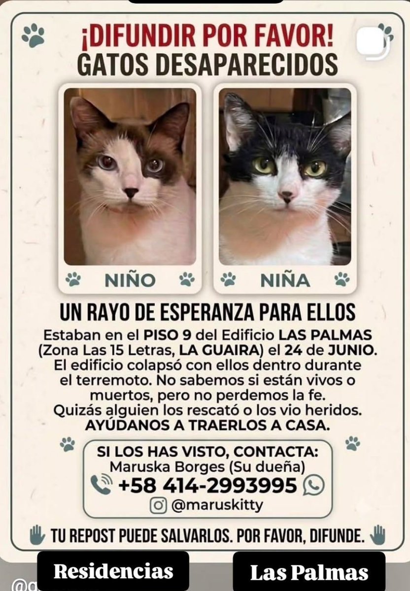 gracon27's tweet photo. 🚨🚨🚨🚨🚨🚨🚨🚨🚨🚨🚨🚨🚨🚨🚨🚨🚨🚨🙌🏻🙌🏻🙌🏻🙌🏻
Difundir por favor🙏🏻
Su familia los busca ❤️‍🩹🫂🥲
Gracias 🙌🏻 https://t.co/iMsa8FQrfJ