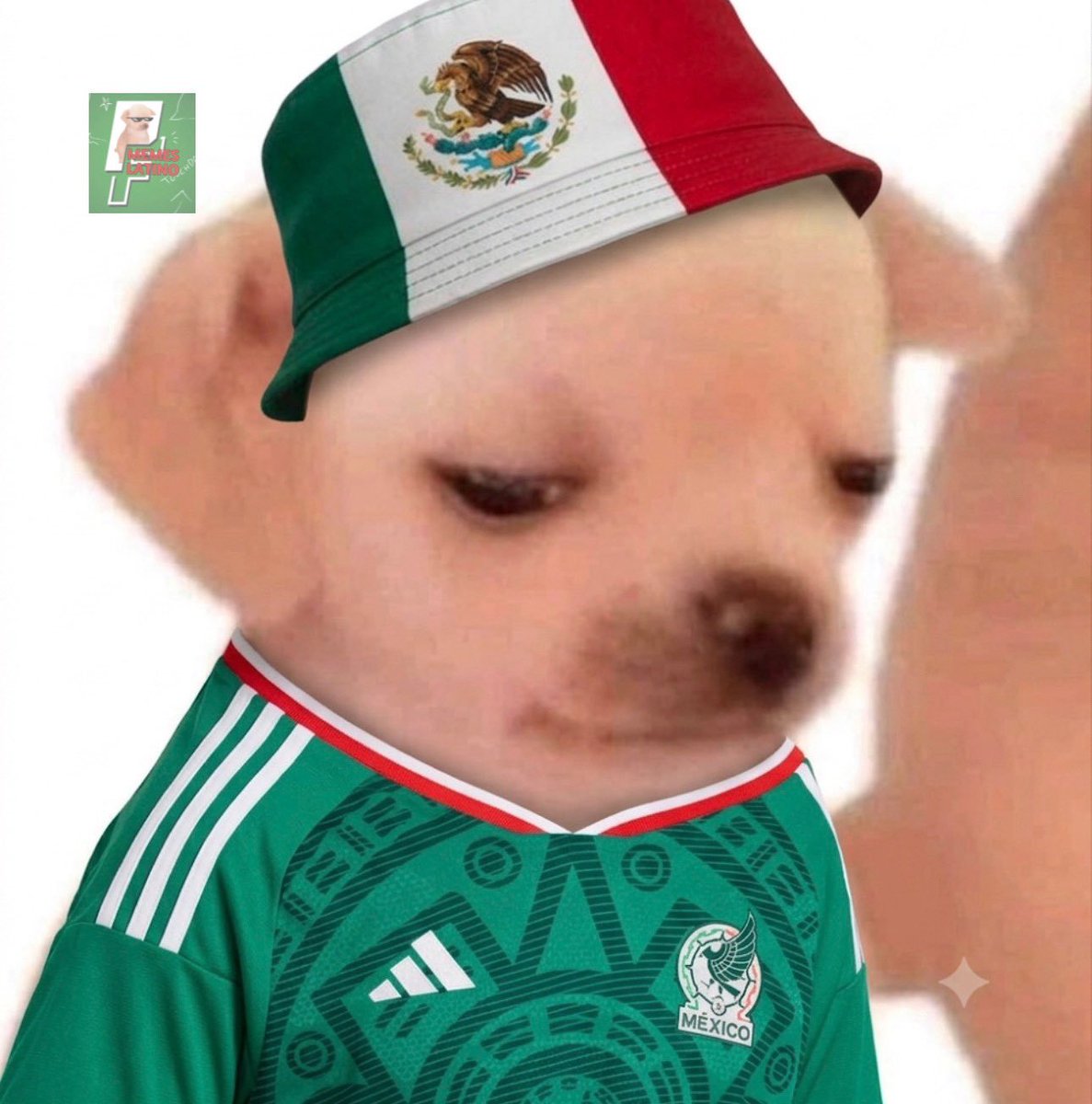 ErrorCodeHfG501's tweet photo. @HaangEmHiigh Debiste hacer eso antes https://t.co/RvJIC4eomW