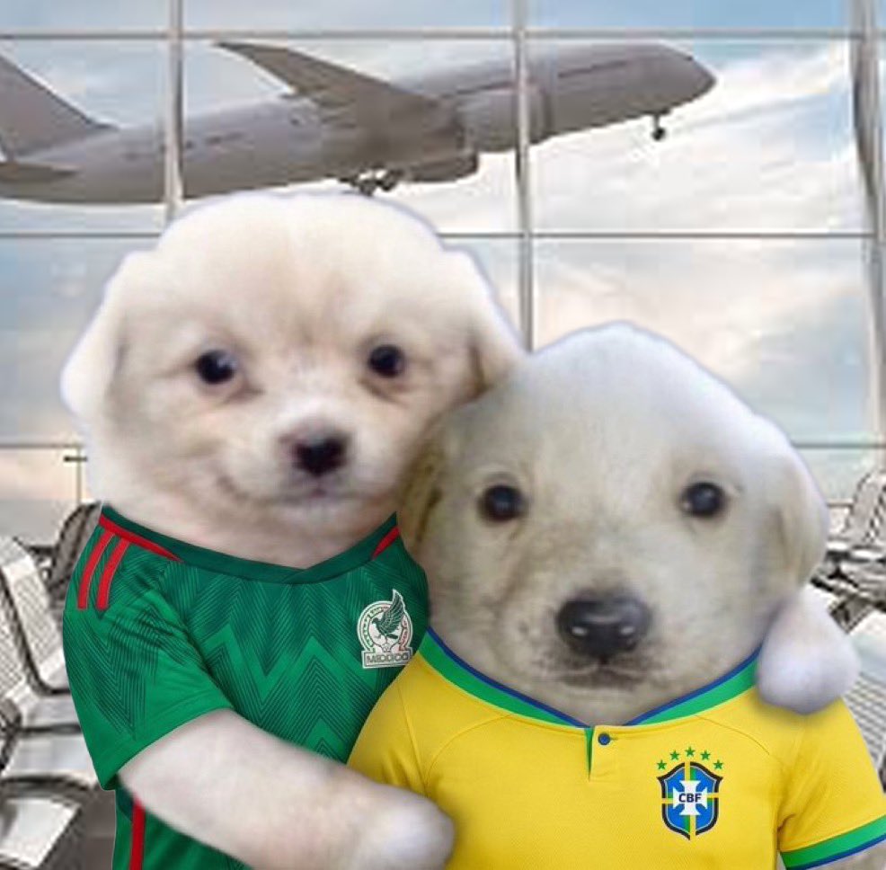chrsvhtn's tweet photo. @solarkarii tamo junto e vamo junto https://t.co/m9M8F2SmD3
