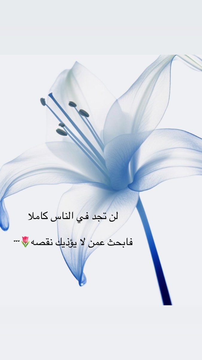 umalialsafar's tweet photo. https://t.co/Pc8aDlOu29