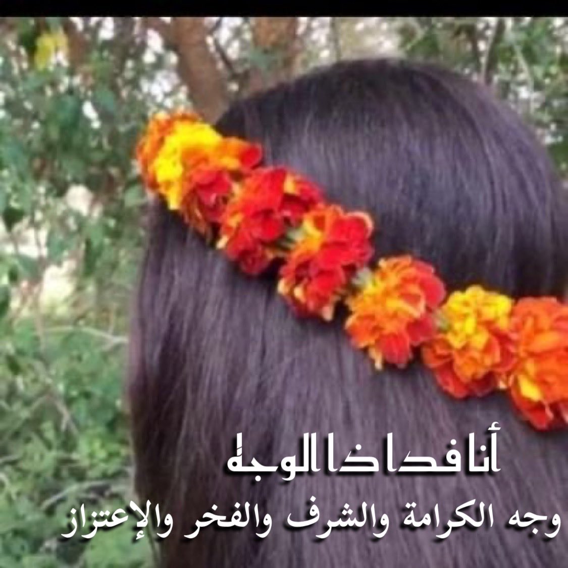 Troupleshooter's tweet photo. سلاح النصر المضمون 100% العمل الدؤوب بجد واجتهاد ودقة متناهية وجودة إنتاج عالية.

لن يُهزم من هذا 👆سلاحه، لو اجتمع عليه الإنس والجن، وخانه أقرب الناس له وباعه أهله وتخلى عنه الجميع.

شيل نجد والدين والدولة من حساباتك، وأعتمد على نفسك.
وأنا مهمتي أرصد لك أعداءك وأقدمهم لك على طبق من ذهب؛ بالأسماء والأدوار والمواقع الجغرافية والأجندات وأحدد لك هم يتبعون لمن !!!