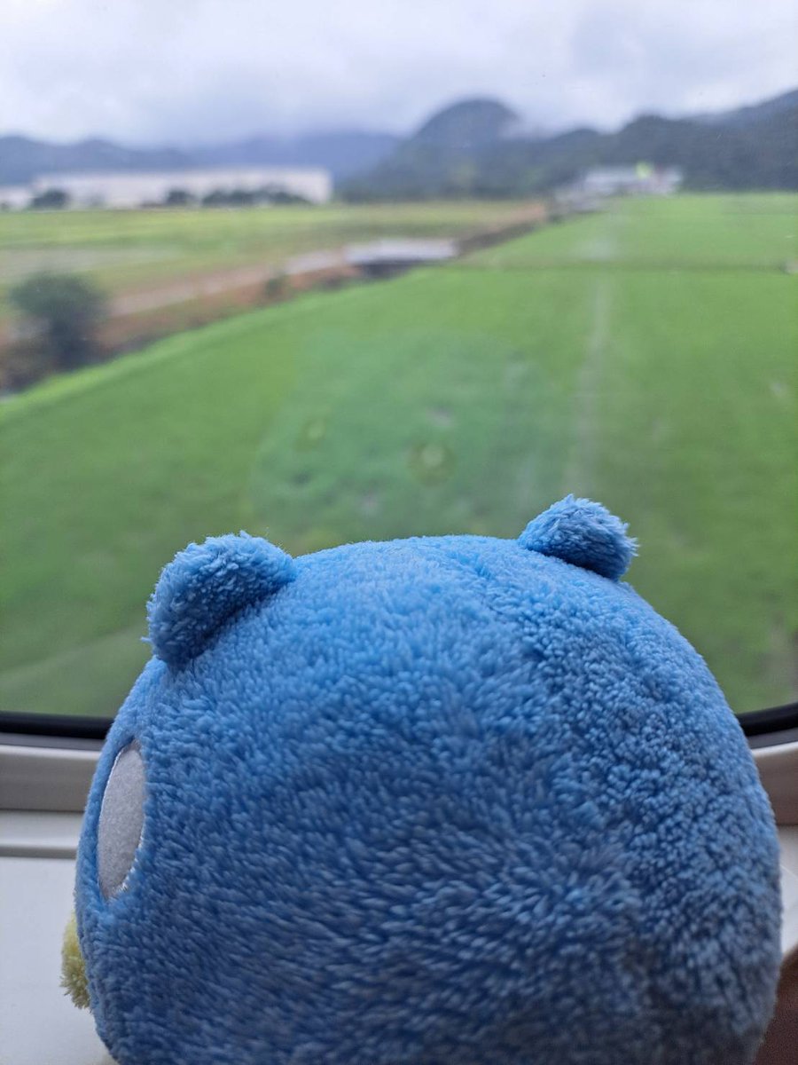atyopy's tweet photo. 新幹線だよタマザラシ https://t.co/8Qd3pIdQdd