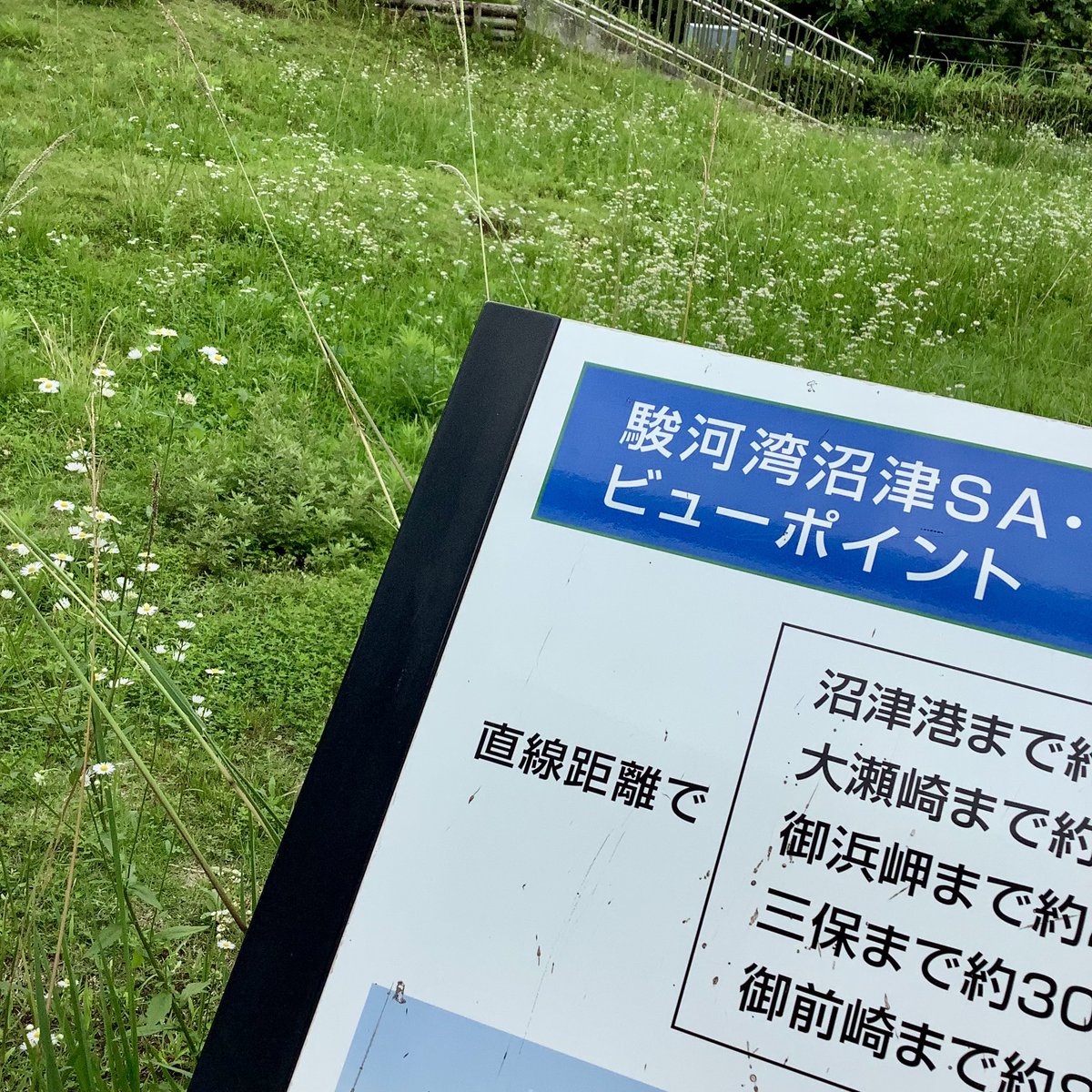 uf_f_tamama's tweet photo. ちょっと早めの夏休みも終盤戦…
たくさんの想い出を持って帰ります。
いっぱいハルジオンが咲いてるよ(^^)
#beadroads https://t.co/mn3IuYw6Tj