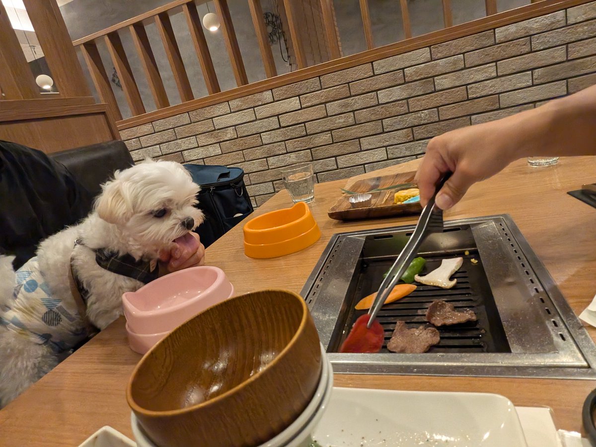 yuuboi_'s tweet photo. 初めての焼肉☺️ https://t.co/CmSAJ99DA3