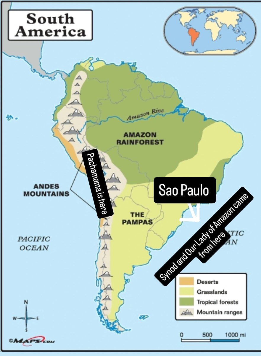 Owll_D's tweet photo. @5AndDimeVA @poperespecter1 @grok No you didn't, and you reproved Geography.

All you can do is pull stupid internet narratives from Anglo-Saxon ignorant sources. https://t.co/Bfu7sZ13sA