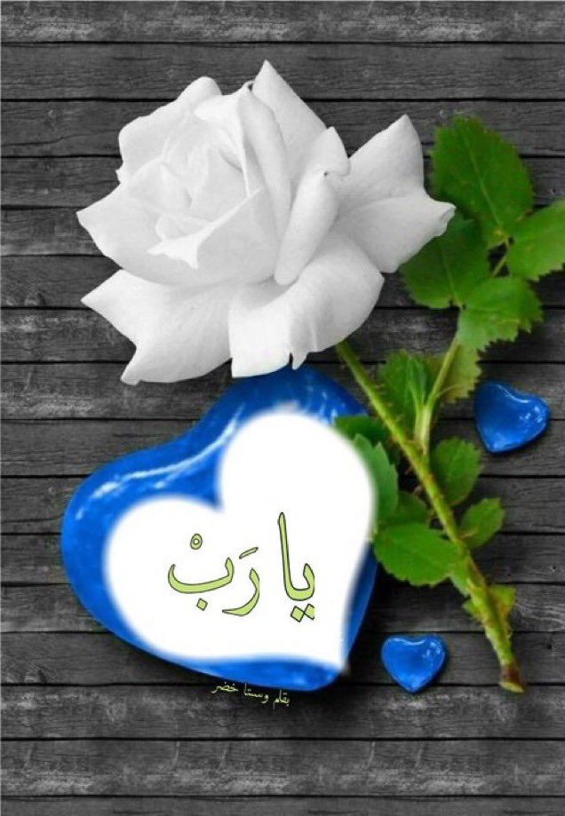 iixil99's tweet photo. 🍂

تفَائل بما إختاره الله لك، حتى وإن كان خارج رغبتِك، فسوف ترزق وتسعَد ثم تنسى، وتعوّض بكل ماهُـو جميل يومًا ما..🍃 https://t.co/KfRBQ8W8oT