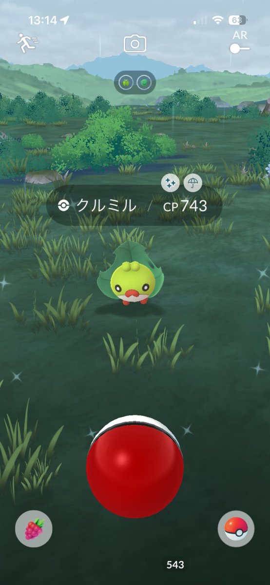 lyse_yda's tweet photo. コミュデイで色メッソン6匹とこないだ色クルミル出た〜
最近FRLGの厳選やらんとP5Rやってる
フリーザーの色厳選6600回までいったんやけど余裕で8192回超えそうな予感しかしやんwww

#ポケモンGO https://t.co/GXMvvPy9hh