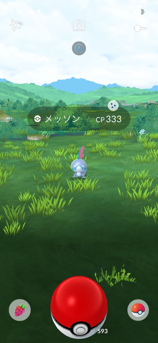 lyse_yda's tweet photo. コミュデイで色メッソン6匹とこないだ色クルミル出た〜
最近FRLGの厳選やらんとP5Rやってる
フリーザーの色厳選6600回までいったんやけど余裕で8192回超えそうな予感しかしやんwww

#ポケモンGO https://t.co/GXMvvPy9hh