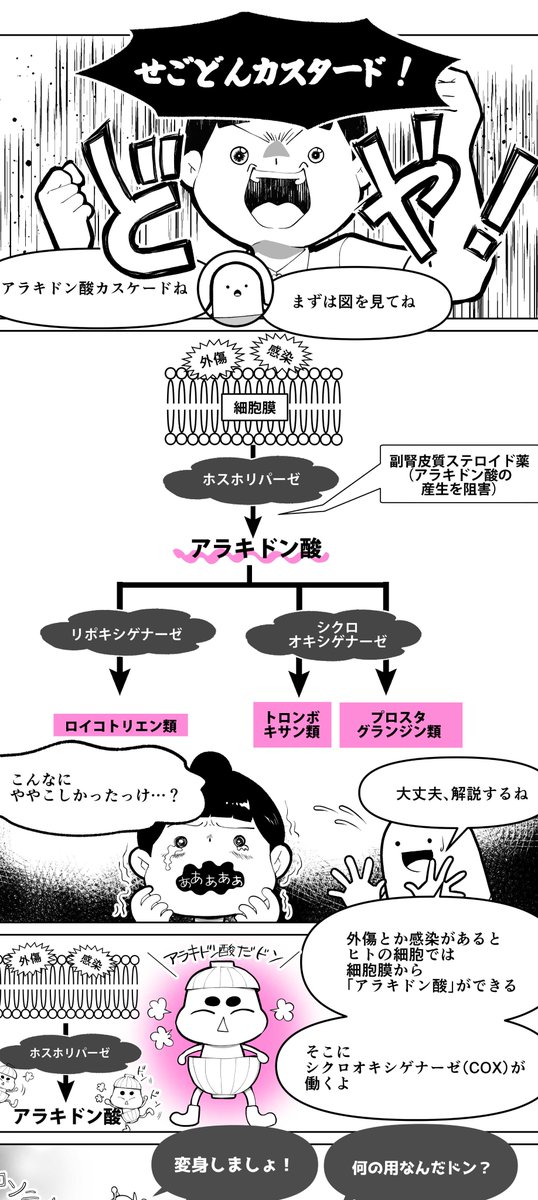 minddive_9's tweet photo. あと医学書院さんの看護師さん向けサイトで漫画も連載しています。https://t.co/zW2Tsau6tv
こちらは@passmed_kimoto木元先生原作です https://t.co/3ilMjwVO26