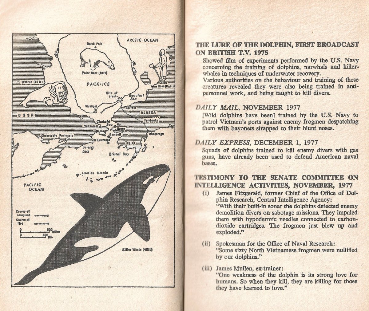 DrJerroldCoe's tweet photo. @Delphingeist KILLER, by Peter Tonkin (1979) https://t.co/bNZzWdbxcq