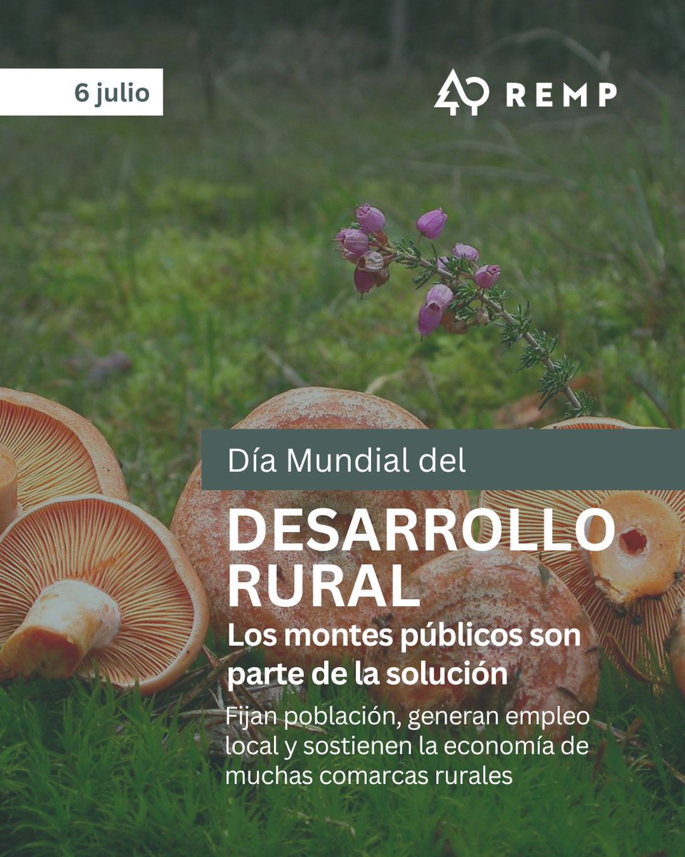 REMP_es's tweet photo. 6 de julio / #DíaMundialdelDesarrolloRural

En la #REMP creemos que los montes públicos son parte de la solución: fijan población, generan empleo y sostienen la economía de las comarcas rurales.

Sin gestión forestal no hay desarrollo rural.

@FBiodiversidad @FondosUE_Esp #FEDER https://t.co/KyQd3iiLLi