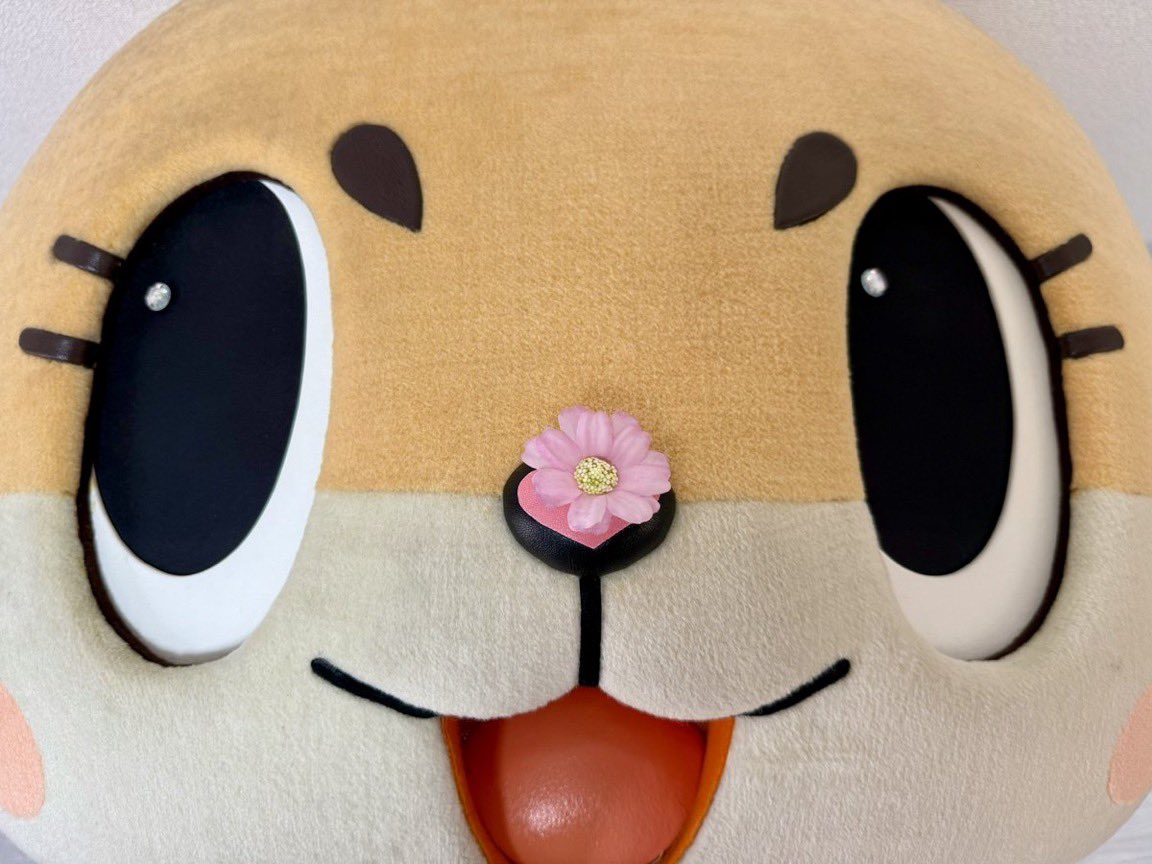 ちぃたん☆／Chiitan (@chiitan7407) / Posts and Replies / X
