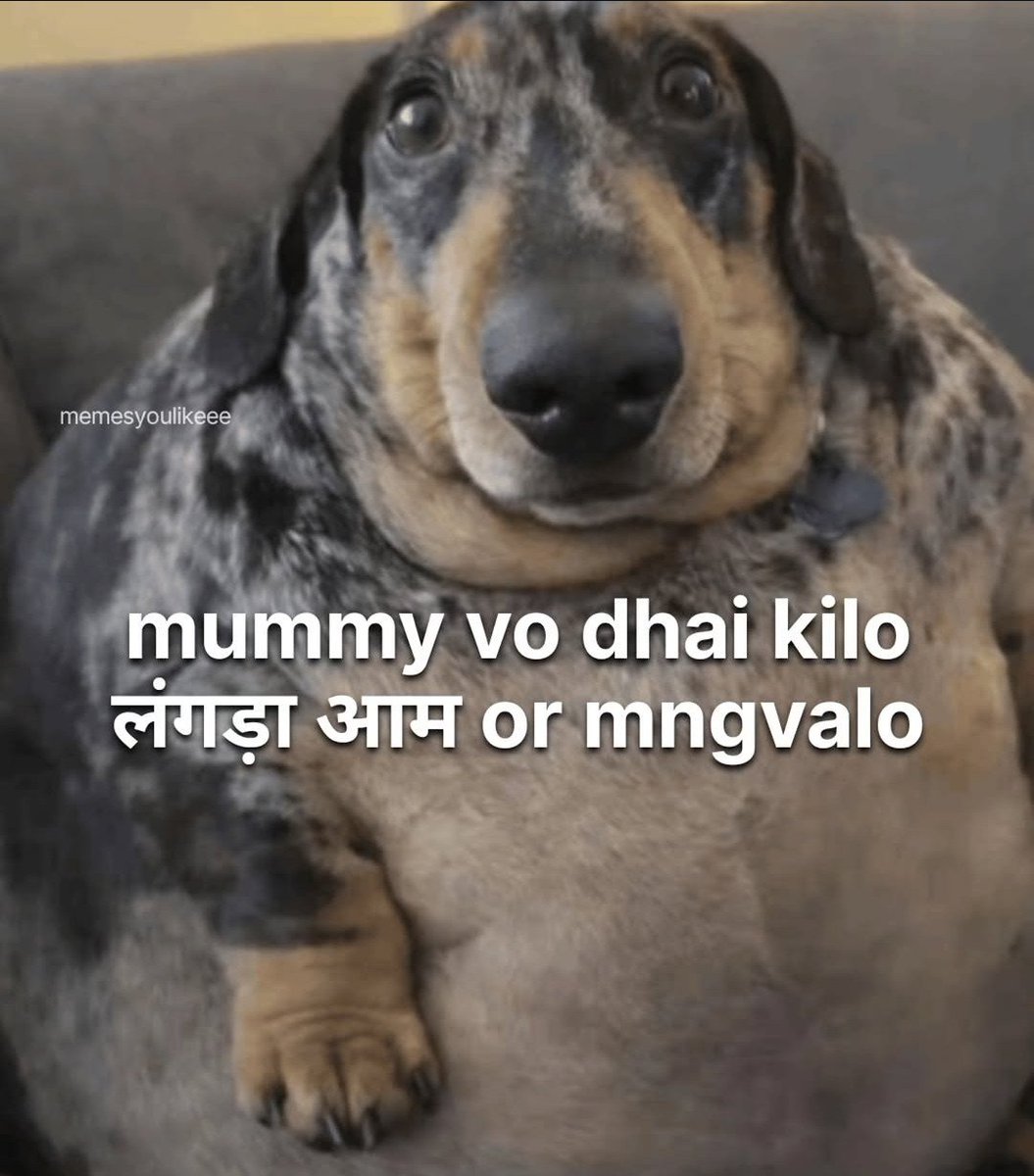 ImMemesupplier's tweet photo. Ya fir toota aam bhi chlega https://t.co/0d1cZEpzIy