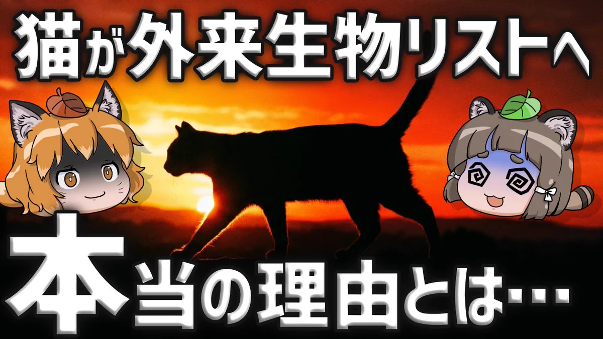 通信の猫@ID=AO_VTuber в X: „ﾈｺﾁｬﾝ🐱“ / X