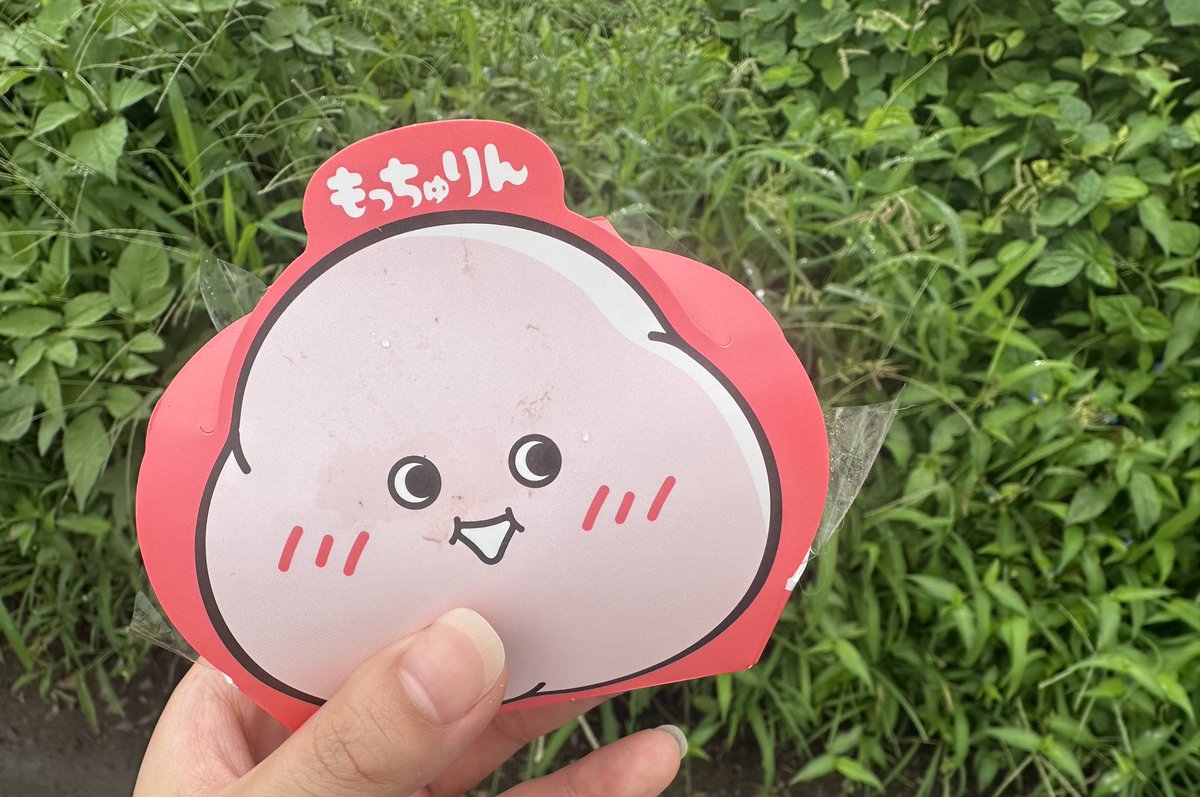 Nao_OMTY's tweet photo. おはよございっ☀️

ようやく私にももっちゅりんとグリーティングの順番がまわってきて大感動の朝
念願の青空?もっちゅりんです🌱

みたらしを食べたのですが、
もっちゅりんならではの食感がみたらし味とマッチするなと分析しました🧐✨

午後も頑張りましょう!! https://t.co/2cfqukiqxg