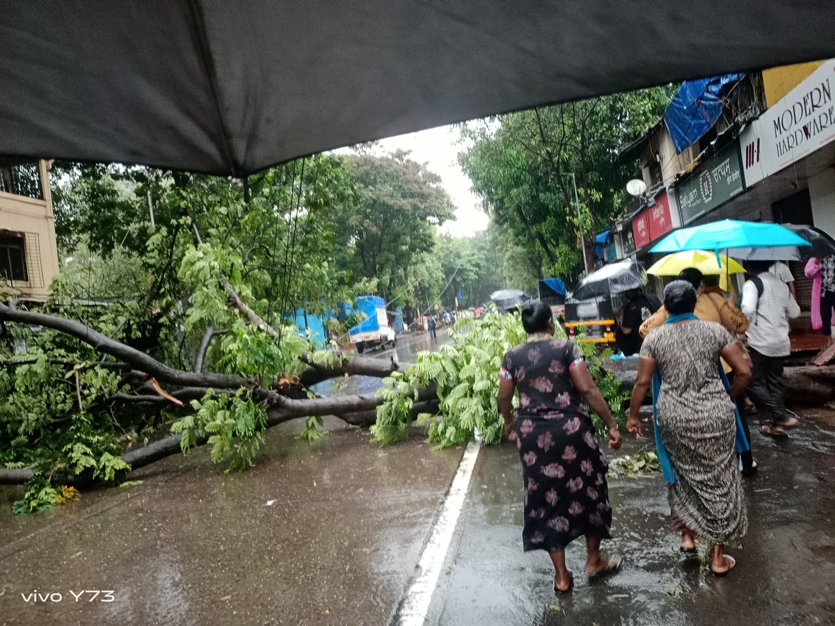meee_mumbaikar's tweet photo. A huge tree has fallen near Mulund Station(w) amid heavy rainfall, completely blocking traffic movement &amp; causing major inconvenience to commuters.
Requesting @MyBMCFire @MTPHereToHelp to clear the obstruction immediately &amp; ensure public safety before any untoward incident occurs https://t.co/Bk51zUW0BE