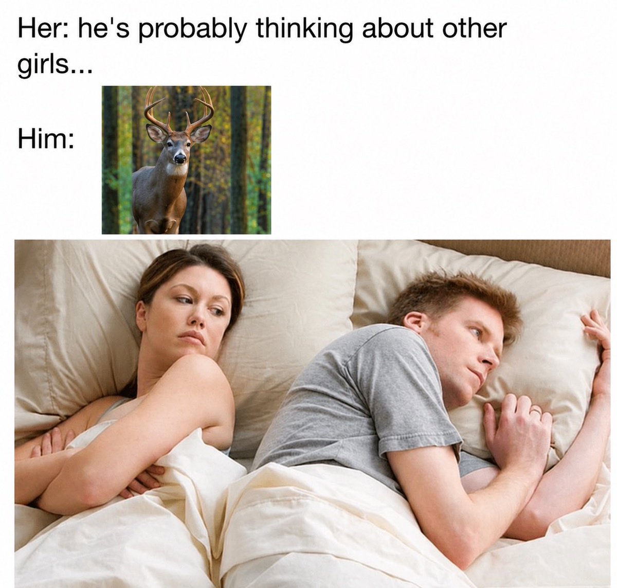 huntnhook's tweet photo. She'll never believe the truth anyway... 😂
Be honest...
What are you daydreaming about right now?
🦌
🎣
🏕️
Drop it in the comments. 👇

#HUNTNHOOK #Hunting #Whitetail #DeerHunting #HuntingLife #Outdoors #OutdoorLife #TrailCamera #PublicLand #Fishing #Camping https://t.co/Fe4uRjTW2q