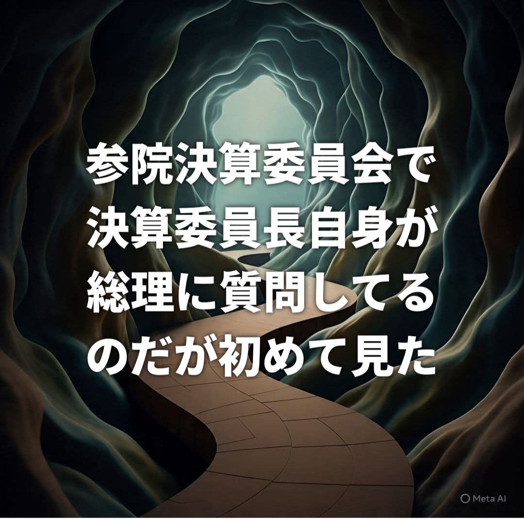 Old_Stable's tweet photo. 過去の審議を全て見てる訳ではないが、兎に角初めて見た
#参議院 #決算委員会 https://t.co/eJiLujMgEc