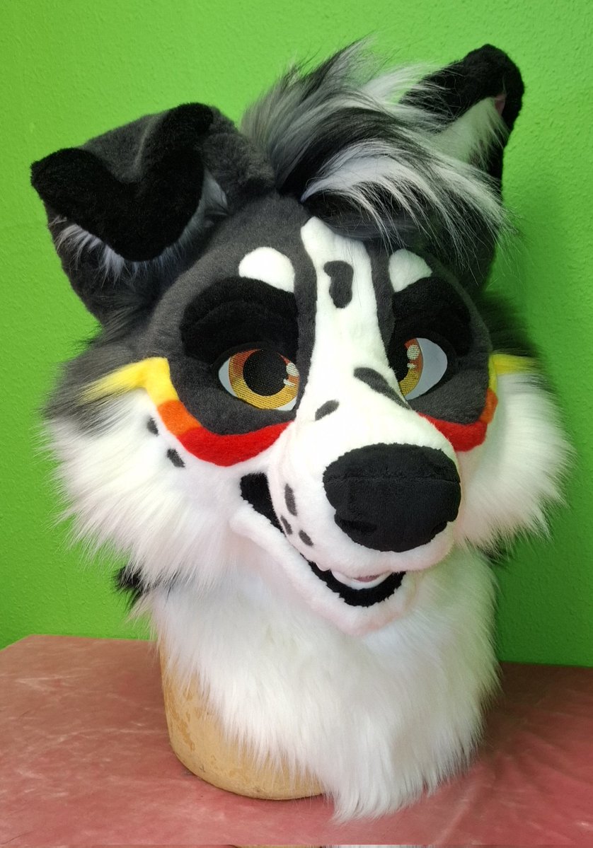 TheKarelia's tweet photo. With and without the magnetic eyelids. This is always a fun feature 😊

Fursuit head made for @PandaTheCollie https://t.co/yKwk3QzVwB