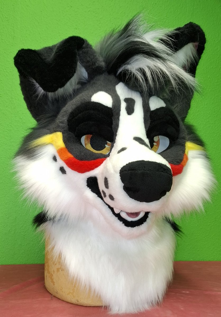 TheKarelia's tweet photo. With and without the magnetic eyelids. This is always a fun feature 😊

Fursuit head made for @PandaTheCollie https://t.co/yKwk3QzVwB