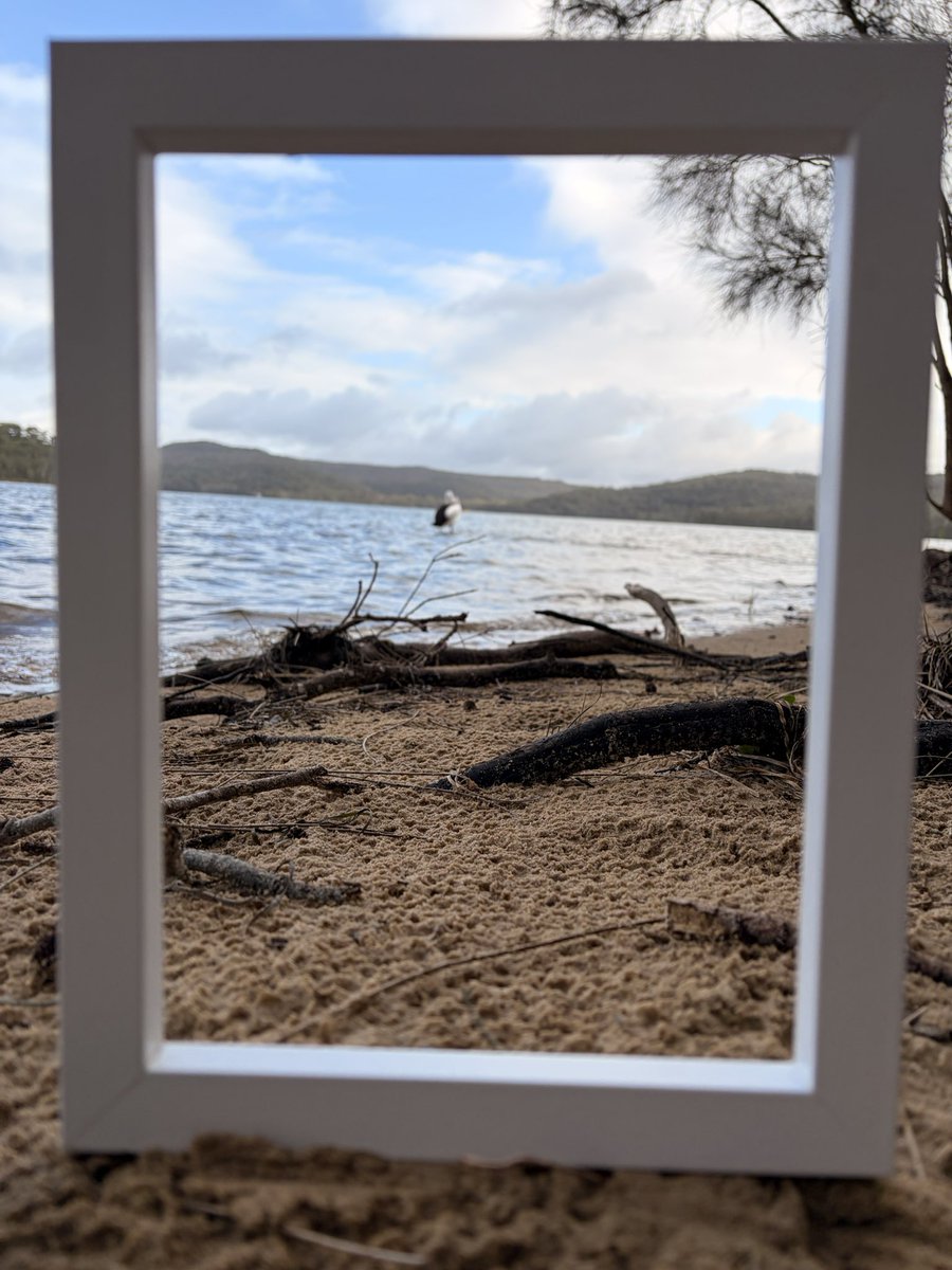 fromyardtotable's tweet photo. Narrabeen https://t.co/qXOZKiwpLj